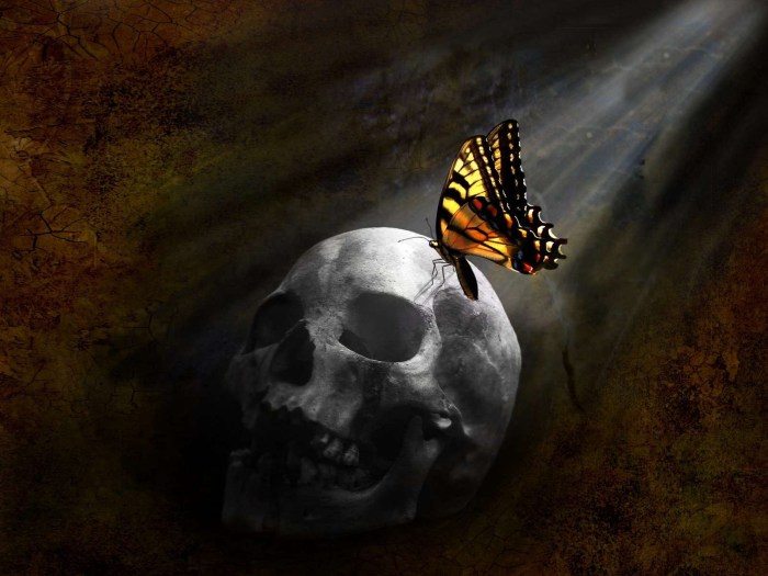skull-monarch-butterfly