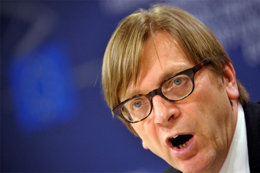 guy-verhofstadt-krijgt-renovatiepremie-van-327-784-euro_1000x667